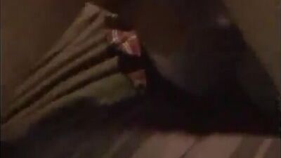 Женщину жестоко трахнули и задушили