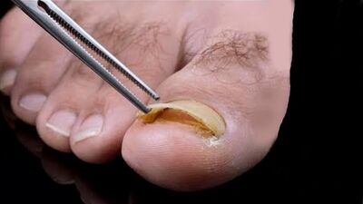 [Привет, я Марк] Самое приятное видео в мире #2