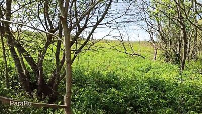 Трах матюрки на природе раком