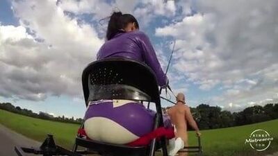 Госпожа Susi - пони со взбитой каретой