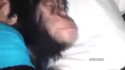 Ержан, вставай, на работу пора