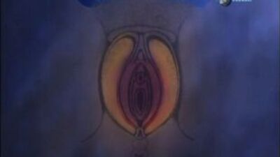 О сексе. Что происходит внутри тел. (Sex Sense, Discovery Channel, 2010)