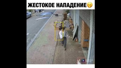 Жестокое нападение