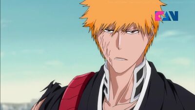 365 серия Блич / Bleach, (FAN).