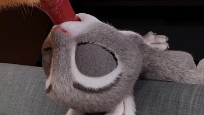 Fury yiff porn sex zootopia Judy