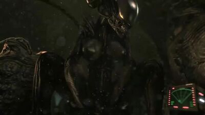 3d yiff Straight Furry Porn Sex E621 FYE Alien girl r34 rule34 xenomorph