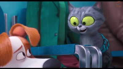 Тайная жизнь домашних животных 2 (2019) на русском