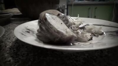 ФЛОРИДА ЯЛТА УЕЗЖАЕТ В МОСКВУ. РАЗГОВОР С ДУ. 1-ая серия (пародия, 18+)