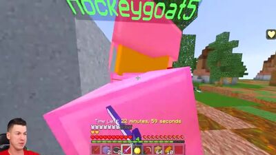 [ВЛАДУС МАРМЕЛАДУС] КАК ВЫЖИТЬ С ПОЛ ХП НА СКАЙ ВАРС ? ТРОЛЛИНГ В МИНИ ИГРЫ В МАЙНКРАФТ ПЕ (Minecraft PE) НУБ против ПРО