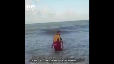 В Бразилии погиб мальчик, которому акула откусила пенис