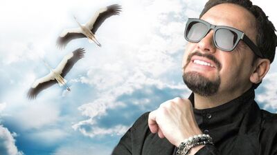 Стас Михайлов ~ Журавли летят в Китай