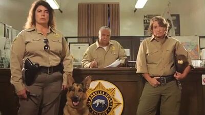 Секс с животными))