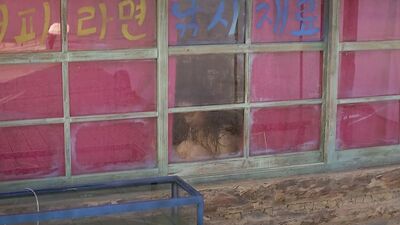 Jung Sah обнаженная, Won Seo обнаженная - The Isle (2000)