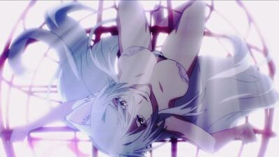 Black Hanekawa NORTHBOUND