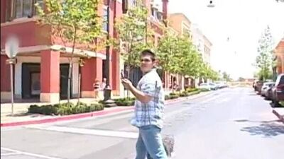 Tory Lane - Diary of a cockaholic