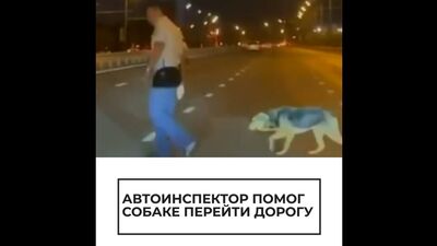 Сотрудник ДПС помог собаке