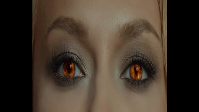 Откройте эксклюзивные азиатские вкусы