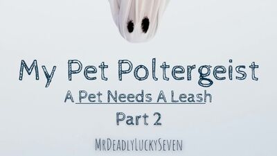 Мой домашний полтергейст
