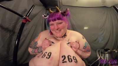 Молочная ферма в её дойках