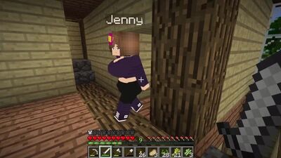 Модифицированная серия Minecraft