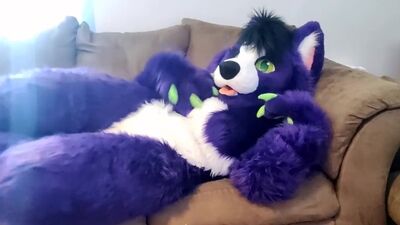 A-little-alone-time-solo-fursuit-petting-and-rubbing-solo-female-low-volume