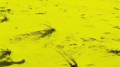 In-ice-cold-blood-s02e02-death-and-sexting-2019-flydownloader