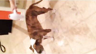 Голая Kaley Cuoco