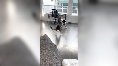 Sabrina Nichole ХХХ ОнлиФанс