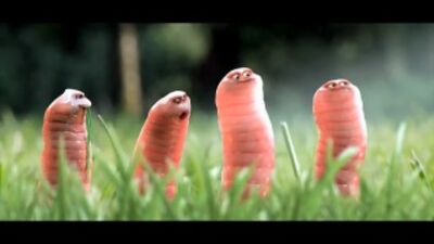 Короткометражный мультик про червячков