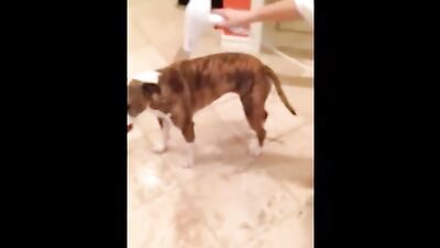 Голая Kaley Cuoco