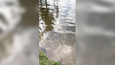 MeltyMochi ХХХ ОнлиФанс