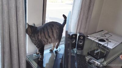 Ember Snow ХХХ ОнлиФанс