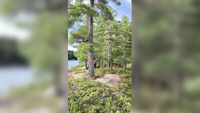 Sexmeat ХХХ ОнлиФанс