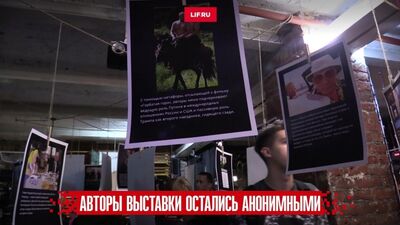 Выставка Путин мем - самые популярные мемасики с президентом