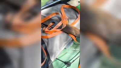 Голая Hannah Barron