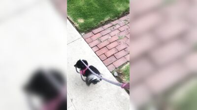 Elena Koshka ХХХ ОнлиФанс