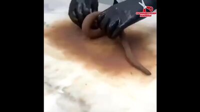 Шоколадная ваза, как тебе?