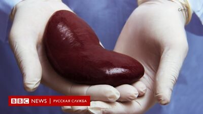 Нелегальная торговля органами, расследование | Документальный фильм Би-би-си