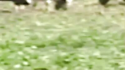 Голая Victoria Pedretti