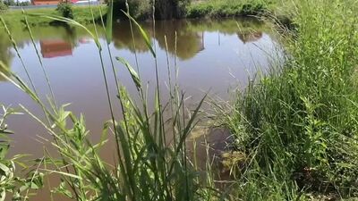 [СЕМЕЙНЫЕ ПОСИДЕЛКИ МИНЯЕВЫ] семейные посиделки / ОН УЛЕТЕЛ, НО ОБЕЩАЛ ВЕРНУТЬСЯ !!!