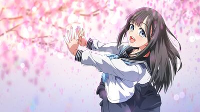 Akebi's Sailor Uniform (明日ちゃんのセーラー服) - "It’s just some slice-of-life anime; no reason to go overboard with the details"