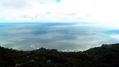 Honeymoon pt.3 Bridgette B, Ivy Wolfe, Tyler Nixon (Авто озвучка)