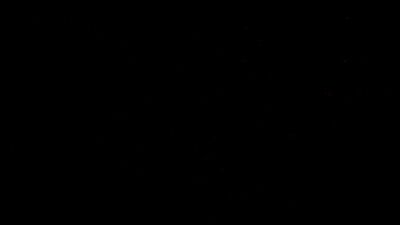 Член сводного брата случайно попал в киску сестры.