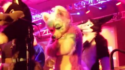Grumpy Fursuiting at a Furry Convention