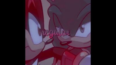 ▸sonic | sonadow
