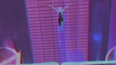 Gwen Stacy Vine #19 [ into the spider-verse ]