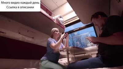 Выебал незнакомку в поезде и та БЫЛА не ПРОТИВ | Больше новых видео в ТГ