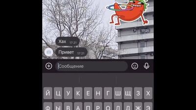 Скинь нюдсы