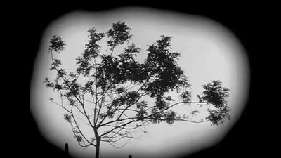 EVERYTHING WILL BE OK - by DON HERTZFELDT