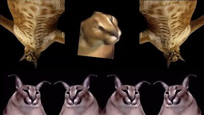 Вечеринка Шлёпы